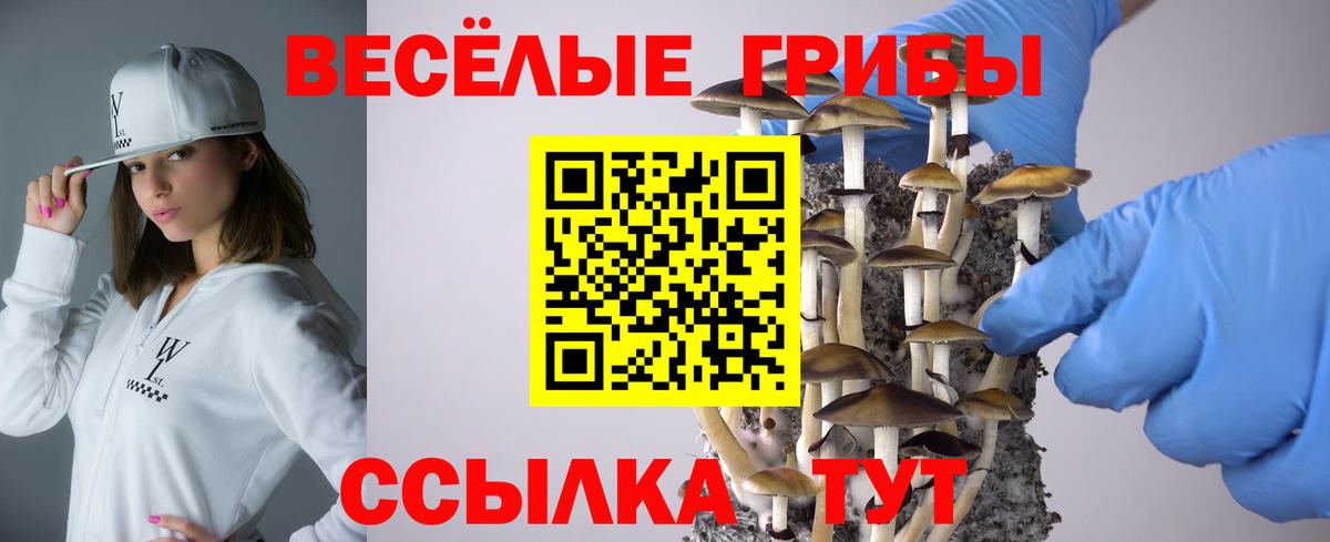 Галлюциногенные грибы GOLDEN TEACHER  Вход с VPN  Рассказово  Галлюциногенные грибы мухоморы 
