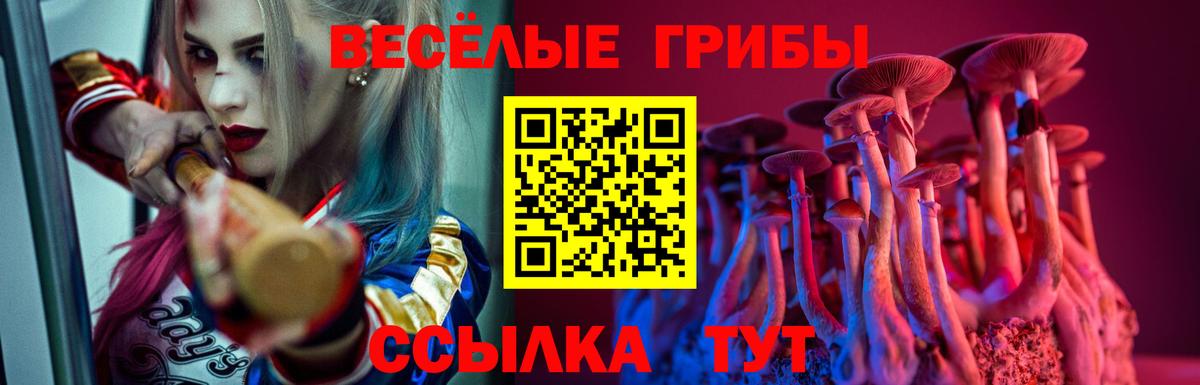 Псилоцибиновые грибы мицелий Рассказово